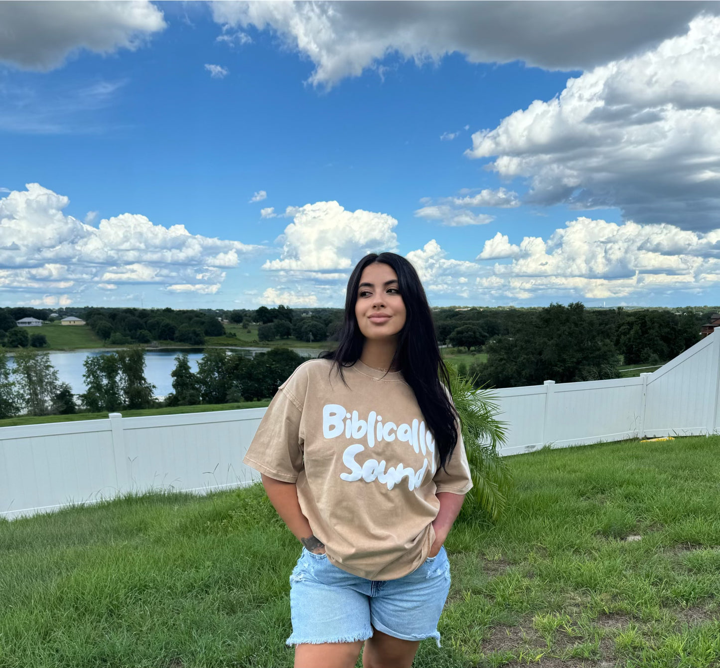 Biblically Sound Box Tee (Brown)