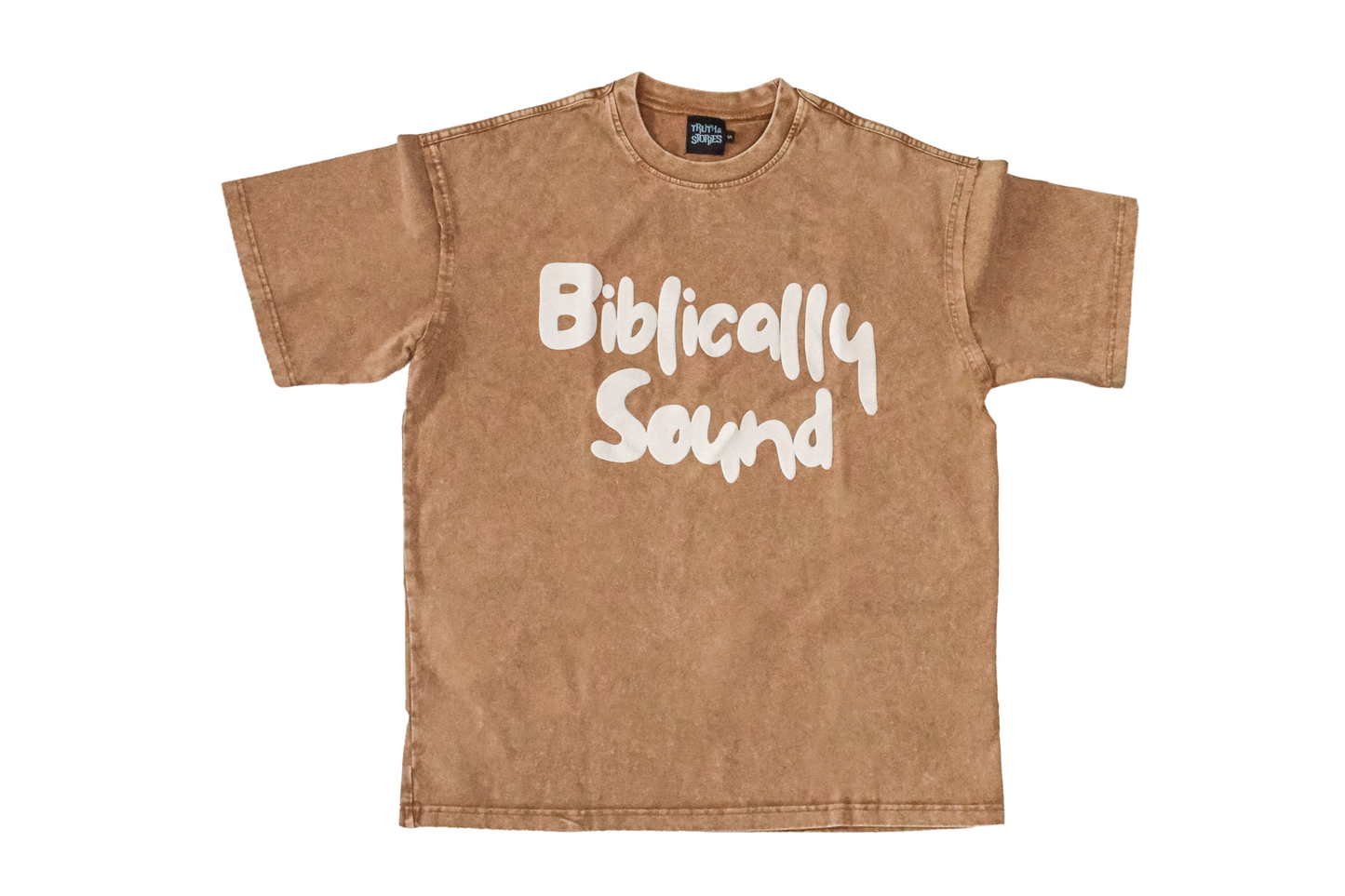 Biblically Sound Box Tee (Brown)